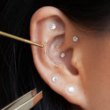 Crystal + Gold Ear Seed Kit