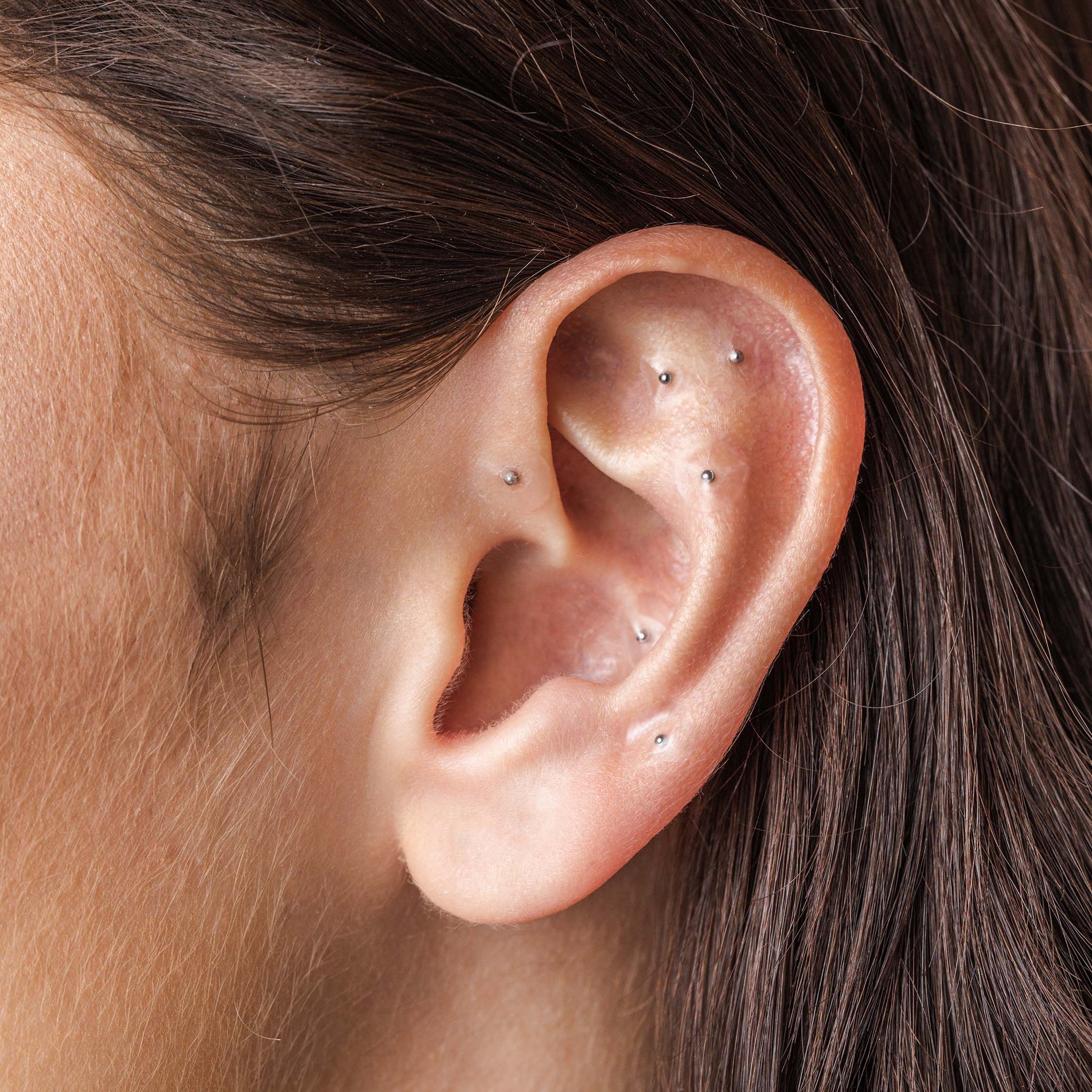 The Auricle launches in Australia - Auricle Ear Seeds